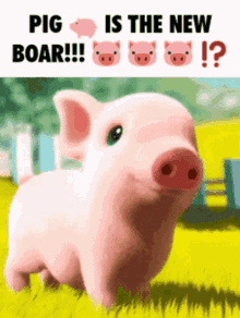 Boar Boars GIF - Boar Boars Pig GIFs
