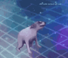 Dance Dog GIF - Dance Dog Doggymon GIFs