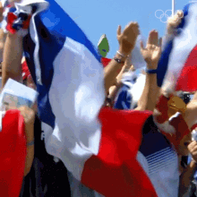 Cheering Olympics GIF - Cheering Olympics France Represent GIFs