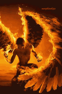 Fiery Angel Wings Man GIF - Fiery Angel Wings Man Fallen Angel GIFs