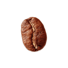 Dritan Alsela Dritan Alsela Coffee GIF - Dritan Alsela Dritan Alsela Coffee Coffee GIFs