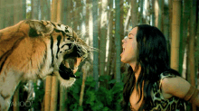 Katy Perry GIF - Katy Perry Katy Perry Roars Withs A Tiger GIFs