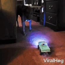Playing With Rc Truck Viralhog GIF - Playing With Rc Truck Viralhog Cute GIFs