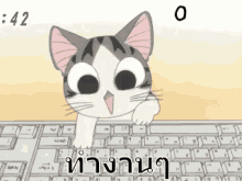 แมว จี้จัง เล่นคอม GIF - Chi Cat Typing Cat GIFs