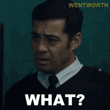 what william jackson wentworth what is it what is that what william jackson wentworth what is it what is that