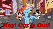 mlp rainbow dash hey cut it out cut it out cut that out