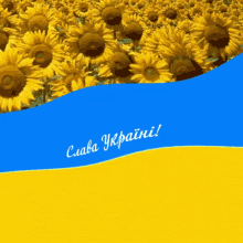 Ukraine Ukraine Flag GIF - Ukraine Ukraine Flag Ninisjgufi GIFs