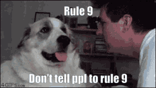 Rule Rule9 GIF - Rule Rule9 Suicide GIFs