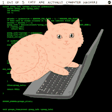 Cats Computer GIF - Cats Computer Hack GIFs
