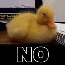 Nope GIF - Nope Duck No Way GIFs