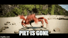 Gone Piet GIF - Gone Piet Piet Is Gone GIFs