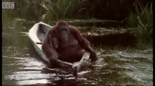It'S Monday, Off To Work She Goes! GIF - Orangutan Boat Paddle GIFs