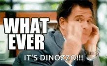 Whatever Its Dinozzo GIF - Whatever Its Dinozzo Phone Call GIFs