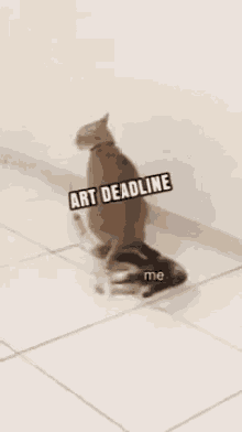 Cat Art Deadlines GIF - Cat Art Deadlines Artist GIFs