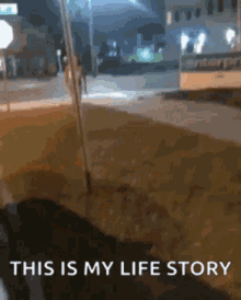 My Life Story Me GIF - My Life Story Me Cartwheel Fail GIFs