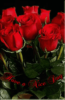 sz%C3%A9p napot have a nice day roses sparkles