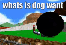 Whats Is Dog Want Chain Chomp GIF - Whats Is Dog Want Chain Chomp Super Mario GIFs