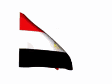 egypt flag nation