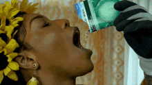 Hungry Eating Seeds GIF - Hungry Eating Seeds Mouth Open GIFs