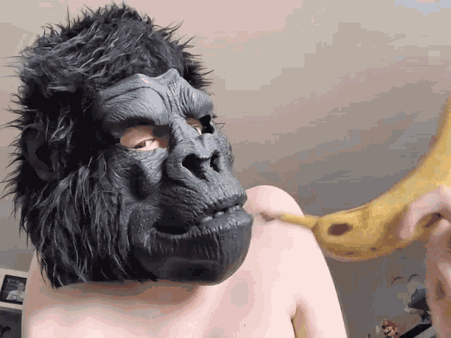 Gorilla Mask GIF.