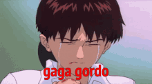 Gaga Gordo GIF - Gaga Gordo Gato GIFs
