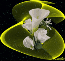 White Rose GIF - White Rose GIFs