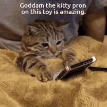 Kitty Pron GIF - Kitty Pron Busted GIFs