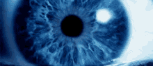 Eye GIF - Eye Eyeball Blue GIFs
