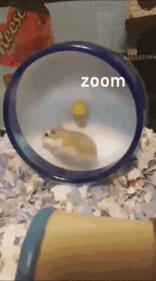 Zoom Fast GIF - Zoom Fast Fast And Furious GIFs
