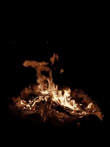 fire campfire