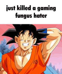 The Gaming Fungus Goku GIF - The Gaming Fungus Goku Dragon Ball GIFs