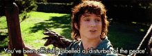 Lord Of The Rings Youve Been GIF - Lord Of The Rings Youve Been Disturber GIFs
