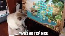 геймер игры игра котик кот мурзик компьютер GIF - Gamer Cat Kitten GIFs