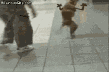 Dog With Two Legs Wave GIF - Dog With Two Legs Wave Walking GIFs