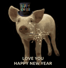 Yes Pig GIF - Yes Pig Happy New Year GIFs