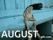 August Frog GIF - August Frog Chill August GIFs