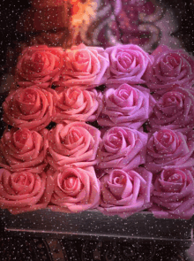 Roses Pink Roses GIF - Roses Rose Pink Roses GIFs