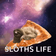 Sloth Lol GIF - Sloth Lol Pizza GIFs