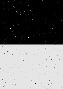 Fall GIF - Black White Contrast GIFs