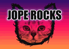 Jope Jope Rocks GIF - Jope Jope Rocks Bigt GIFs