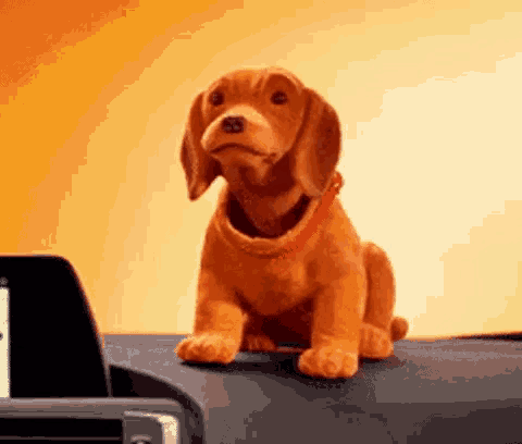 Dog gif dog discover share gifs