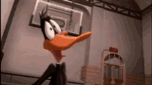 Slobber Looney Tunes GIF - Slobber Looney Tunes Daffy GIFs
