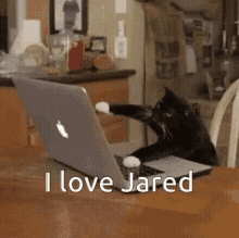 I Love Jared GIF - I Love Jared Jared GIFs