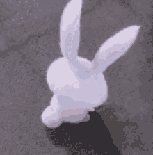 Snowball Bunny GIF - Snowball Bunny Rabbit GIFs