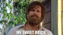 Brick Will GIF - Brick Will Ferrell GIFs
