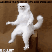 Dogecoin What GIF - Dogecoin What Where GIFs