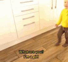 What Are You Im A Girl GIF - What Are You Im A Girl GIFs