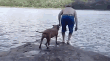 save drown