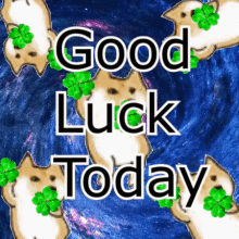 Good Luck Today GIF - Good Luck Today Doge GIFs
