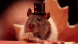 Pumpkin Pie Pilgrim GIF - Pumpkin Pie Pilgrim Pie GIFs